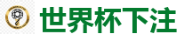 2026世界杯(FIFA WorldCUP)中国竞彩指定平台